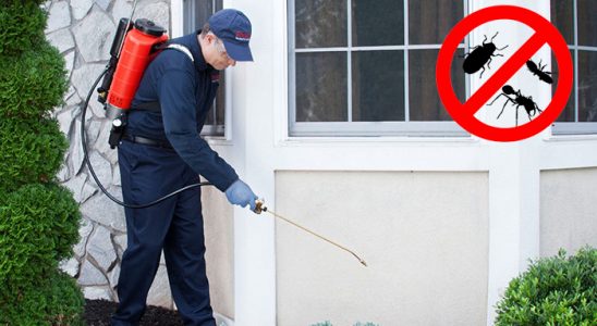 Kocaali Dezenfeksiyon böcek ilaçlama ve haşere kontrolü — ilaclama-tr.com